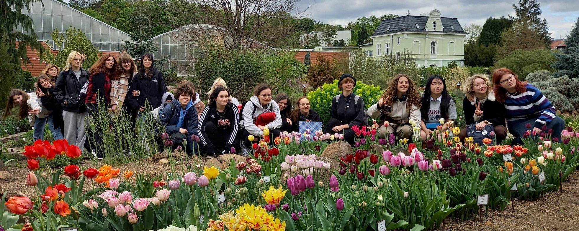 Studijní kresba rostlin v Botanické zahradě