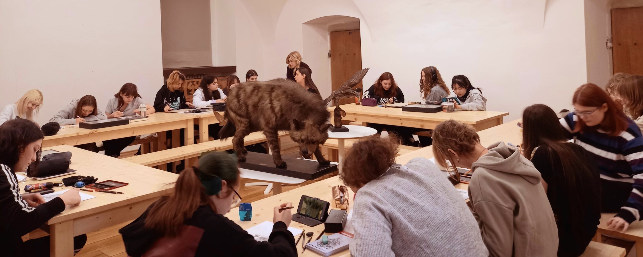 Dne 22.4.2024 si žáci GD1. mohli vyzkoušet studijní kresbu zvířat a hmyzu v prostou Regionálního muzea v Teplicích. Kreslení podle vycpaných zvířat umožňuje zvážit různé možnosti kompozice, podívat se na model z různých pohledů apod. Muzejní pedagožka, MgA. Kleinová vybrala poutavé, ale pro kresbu náročné exponáty z depozitáře muzea. I přes to se některým výborným kreslířům podařilo vdechnout zvířatům život.